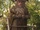 Radagast