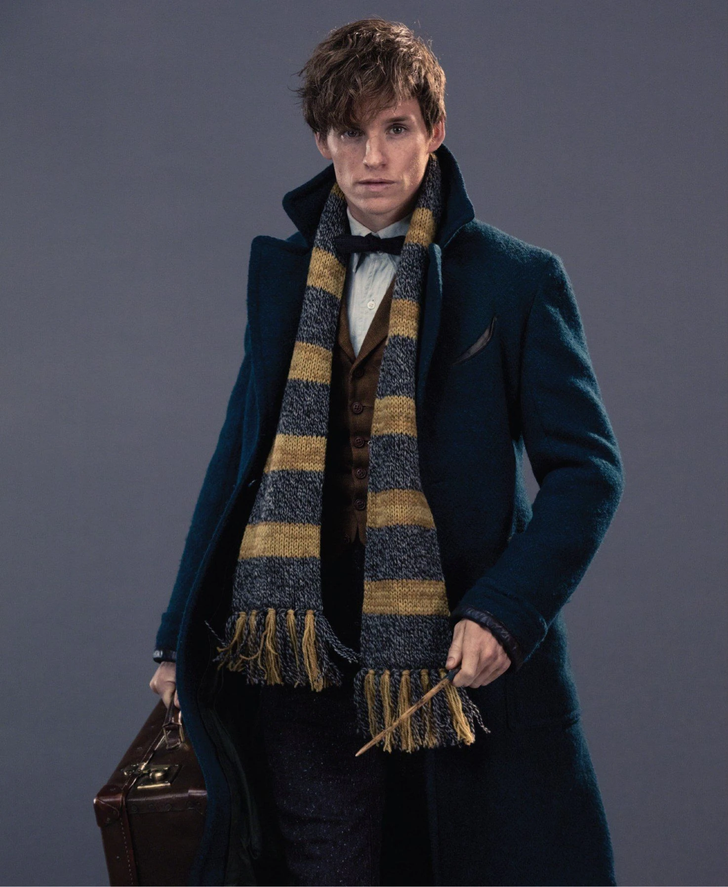 Newt Scamander | Heroes and Villains Wiki | Fandom