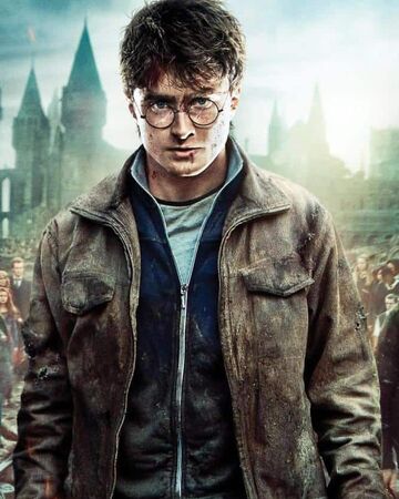 Harry Potter Heroes And Villains Wiki Fandom
