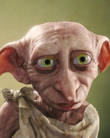 Dobby Heroes And Villains Wiki Fandom