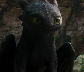 Toothless Profile 2025