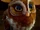Gylfie (Legend of the Guardians)