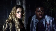 2x12 Boyd and Erica