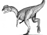 Dilophosaurus