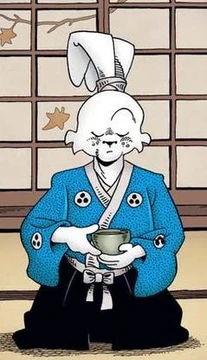 Miyamoto Usagi | Heroes and Villains Wiki | Fandom