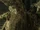 Treebeard