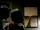 Scott McCall and Malia Tate