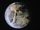 Earth-1 (Arrowverse)