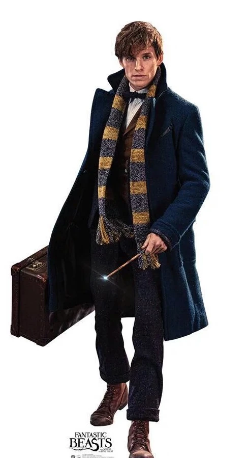Newt Scamander/Gallery | Heroes and Villains Wiki | Fandom
