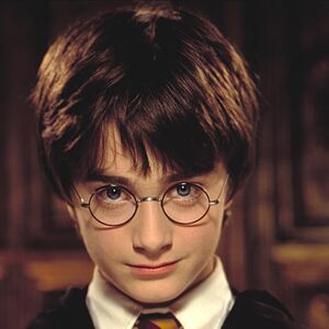 Harry Potter Gallery Heroes And Villains Wiki Fandom