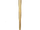 Nova Blade