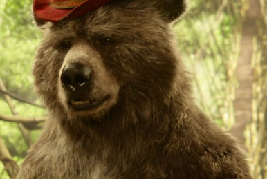 Paddington Bear, Heroes Wiki