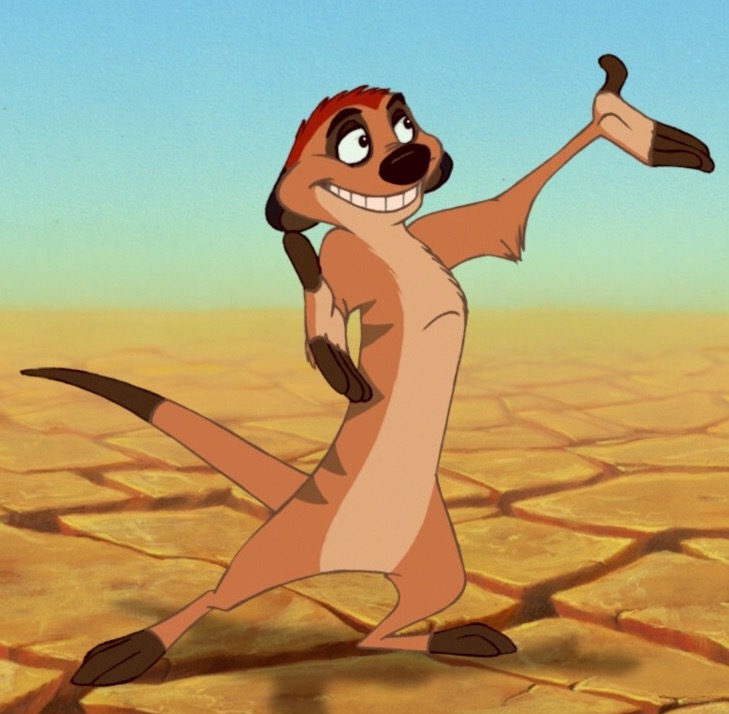 Timon | Heroes and Villains Wiki | Fandom