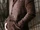 Greg Mendell