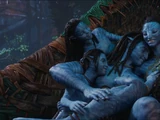 Sully Family
