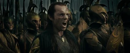 Elves Middleearth