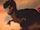 Sharptooth