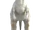 Tauntaun