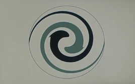 Black Hole