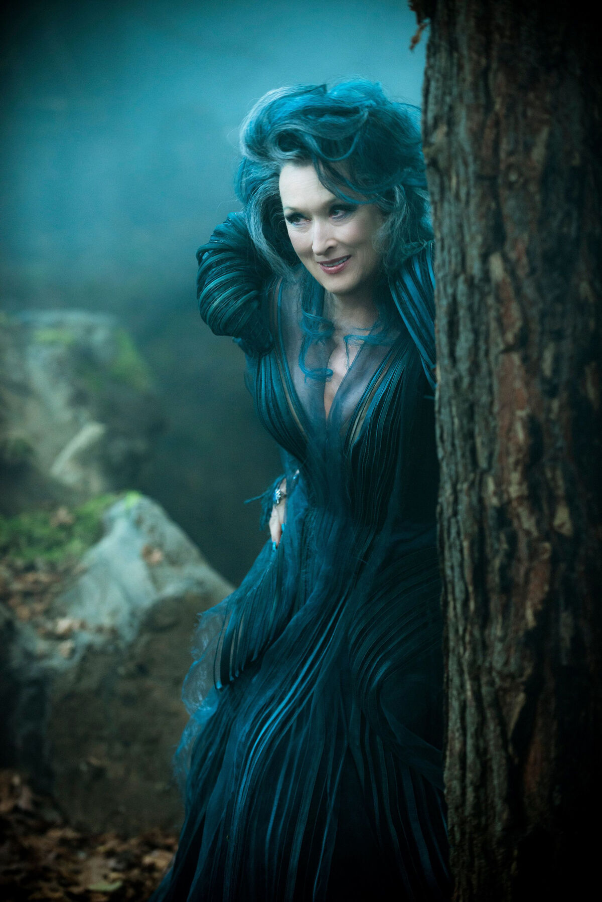 Witch (Into the Woods) | Heroes and Villains Wiki | Fandom