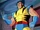 Wolverine (X-Men: The Animated Series)