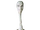 Yarael Poof