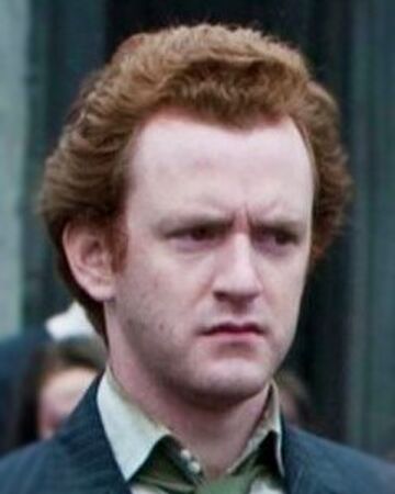 Percy Weasley Heroes And Villains Wiki Fandom