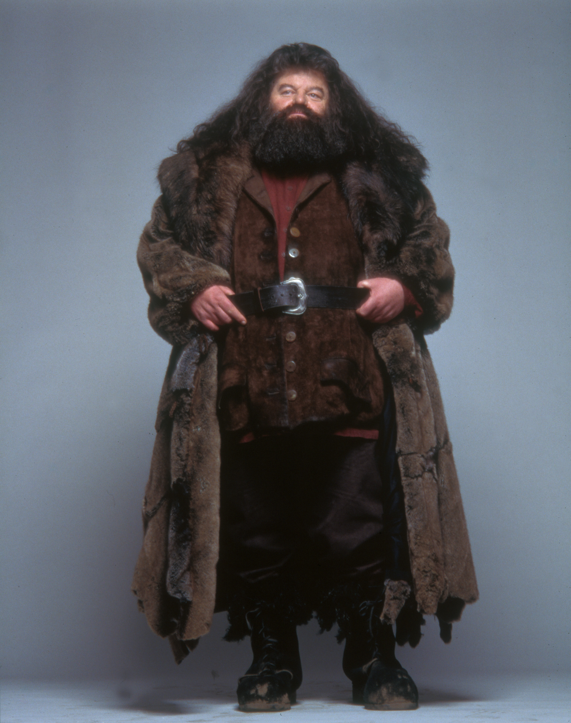 Rubeus Hagrid for Harry Potter in portrait draw graphic Sketch  Harry  potter art drawings Harry potter drawings Harry potter cartoon