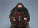 Rubeus Hagrid