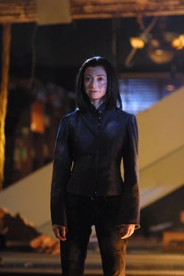 Dark Willow | Heroes and Villains Wiki | Fandom