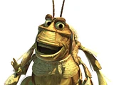 Molt