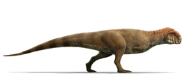 Reconstruction of Majungasaurus crenatissimus