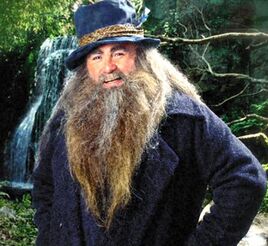 Tom bombadil
