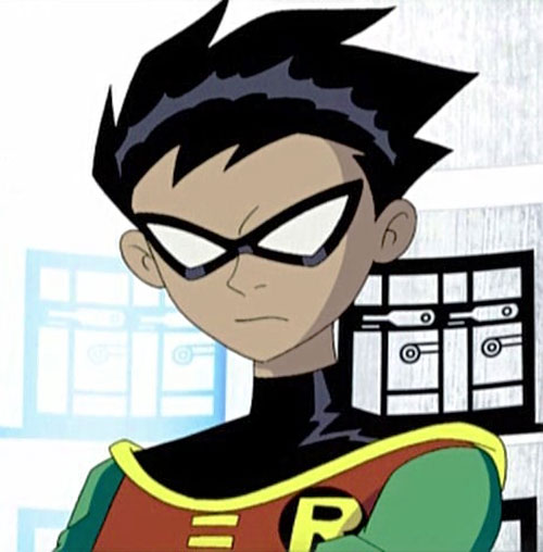 WHO IS THE ROBIN FROM TEEN TITANS? 