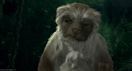 Yar
