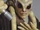 Kit Fisto