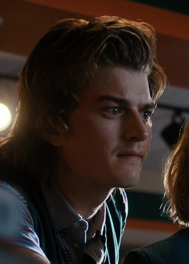 Steve Harrington Haircut - Stranger Things - TheSalonGuy 