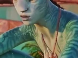 Rotxo