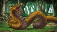 Wyrm in Monster Girl Doctor