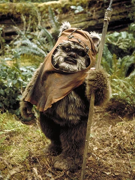 SF・ファンタジー・ホラー Star Wars Ewoks Wicket W. Warrick Amazon.com: Star Wars The Vintage Collection Wicket W. Warrick