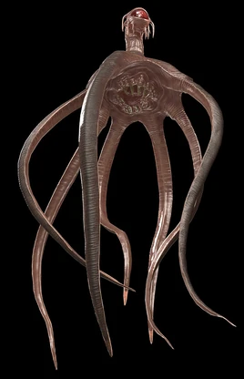 Dianoga