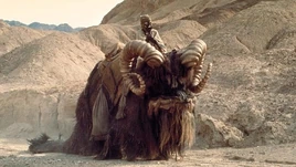 Bantha-main-image b3ab933d