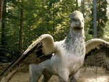 Buckbeak