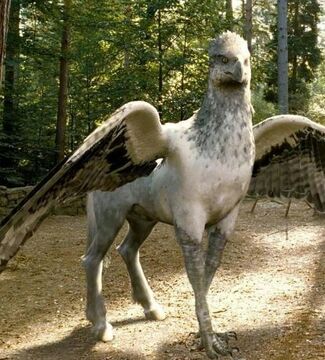 Hagrid and buckbeak sale