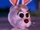 Donna (Here Comes Peter Cottontail)