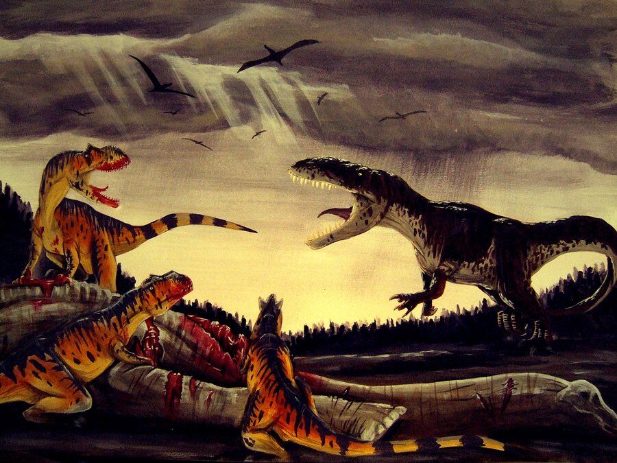 A pack of an Allosaurus fights Torvosaurus.jpg