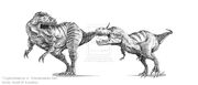 Giganotosaurus vs tyrannosaurus rex by k e i t h-d5y3kzj