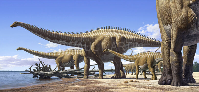 Diplodocus Raul Martin.jpg