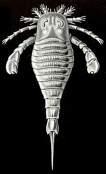 Eurypterid.jpg