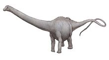 Amphicoelias